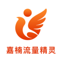 嘉楠流量精灵