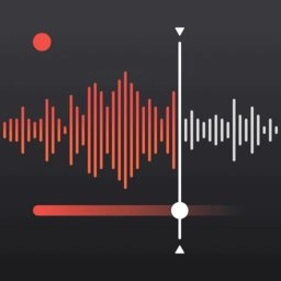 录音大师