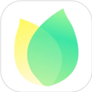 飞火动态壁纸app
