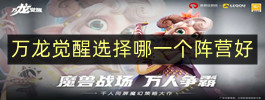 万龙觉醒选择哪一个阵营好