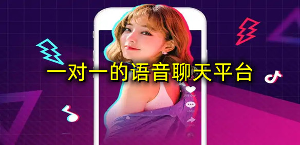 一对一的语音聊天平台