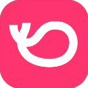 灰豚数据官网版