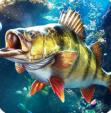 欢乐钓鱼大师正版