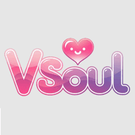 vsoul软件