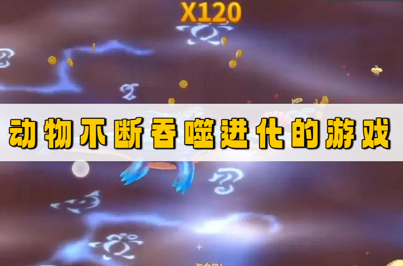 动物不断吞噬进化的游戏