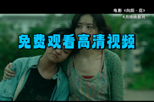 免费观看高清视频