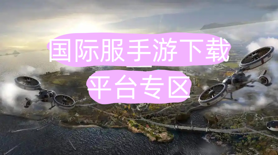 国际服