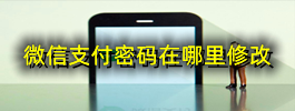 微信支付密码在哪里修改