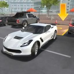 全能停车达人游戏