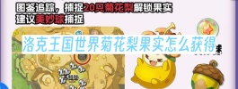 洛克王国世界菊花梨果实怎么获得