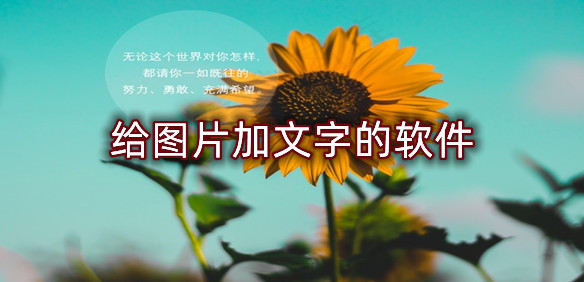 给图片加文字的软件