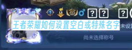 王者荣耀如何设置空白或特殊名字
