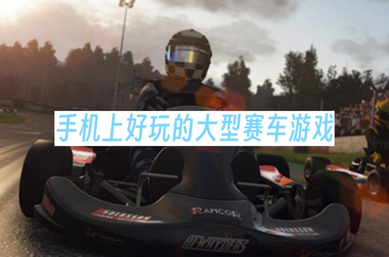 手机上好玩的大型赛车游戏