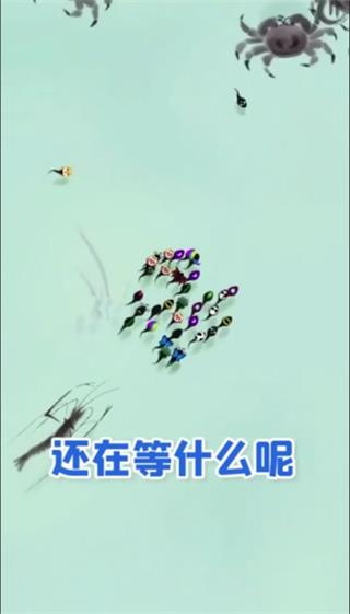 墨虾探蝌截图2
