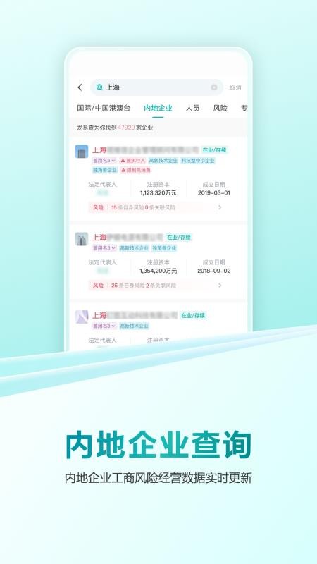 龙易查截图2
