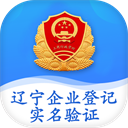 辽宁企业登记实名验证app