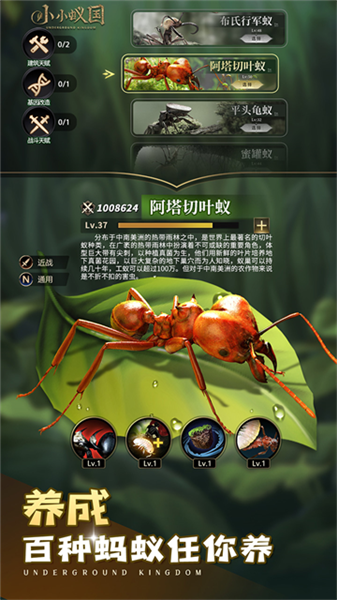 小小蚁国魅族渠道服截图1