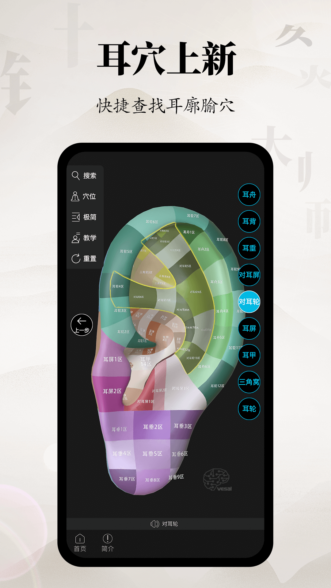 针灸大师截图1