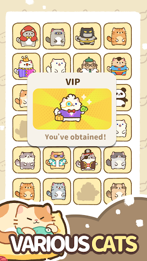 我的完美猫旅馆游戏截图5