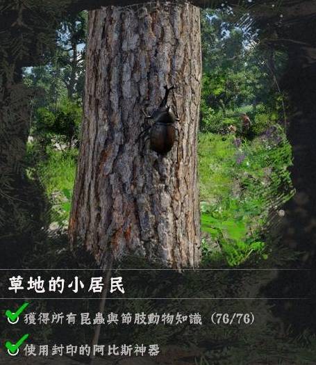 红色沙漠全成就最难一步：49种蝴蝶收集流程拆解