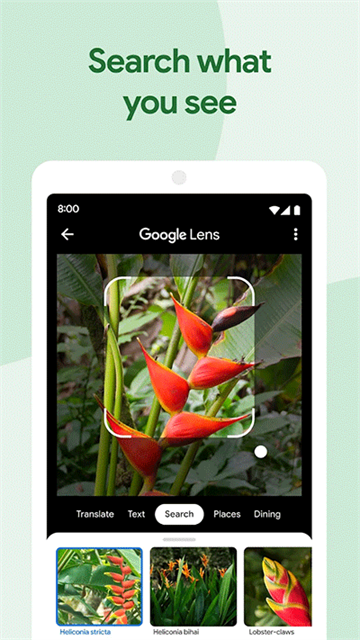 Photos谷歌相册截图1