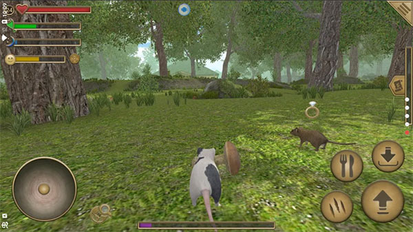 老鼠模拟器(Mouse Simulator安装器)游戏截图1