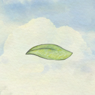 风子Miss Wind