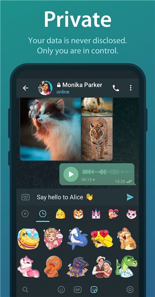 telegreat10.0.1安装包截图1