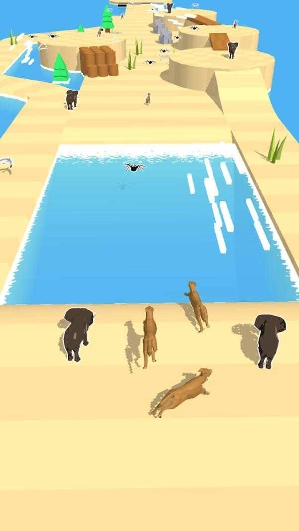 动物也疯狂游戏截图2