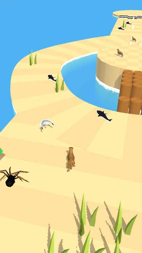 动物也疯狂游戏