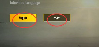 PUBG韩服手游(배틀그라운드)