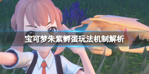 宝可梦朱紫生蛋具体详情_宝可梦朱紫孵蛋多久才出