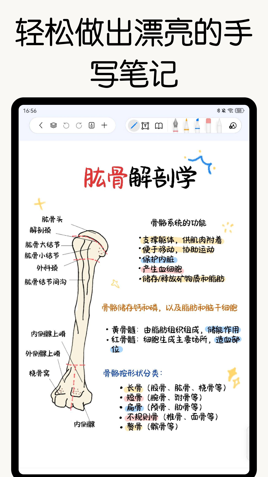 自由笔记安装免费平板版