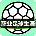 职业足球生涯游戏