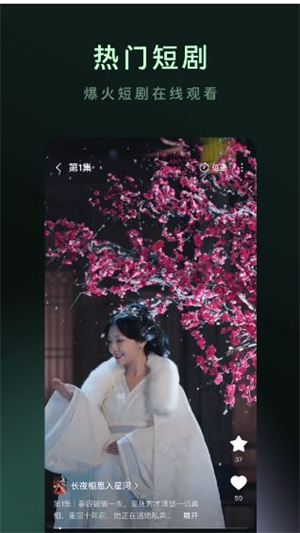 木叶短剧截图4