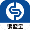 银盛宝