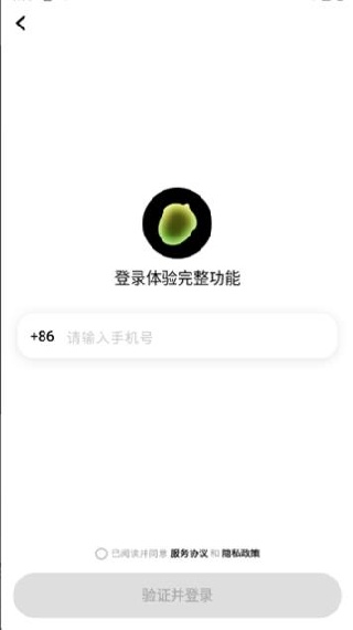 松果时刻
