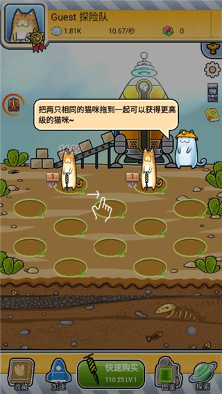懒洋洋的宝藏猫官方最新版截图5