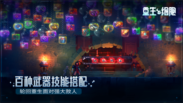 重生细胞小米客户端截图2