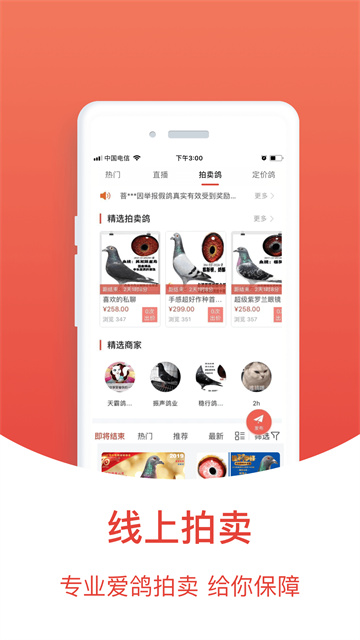 搜鸽天下最新版截图1