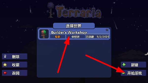 terraria灾厄截图2