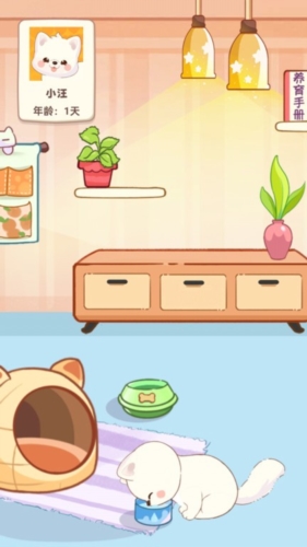 桌面汪免费版截图4