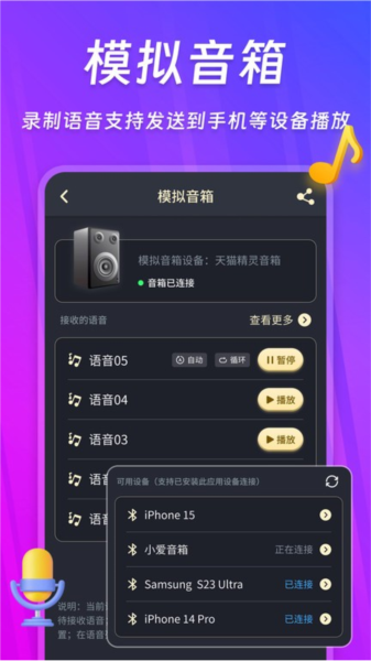 话筒扩音器最新版截图2