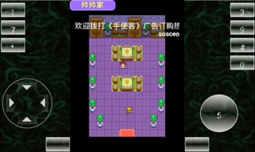 宠物王国2紫