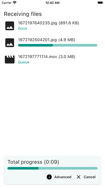 LocalSend中文版截图3