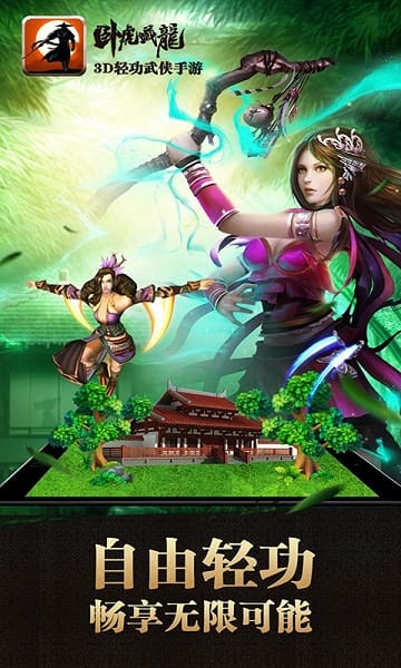 卧虎藏龙九游手游截图2