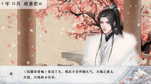 皇子考核计划清软完结修改版截图1