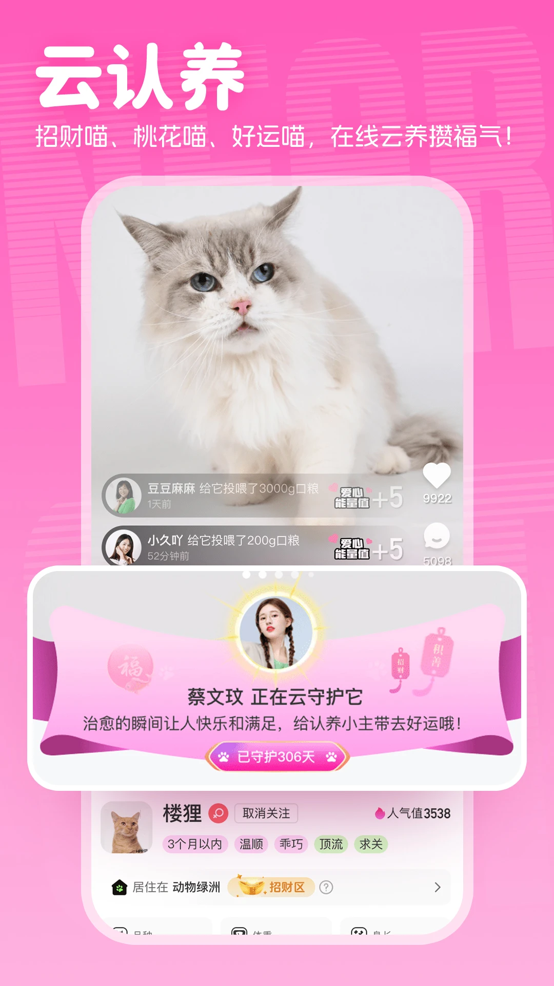附近有喵截图4