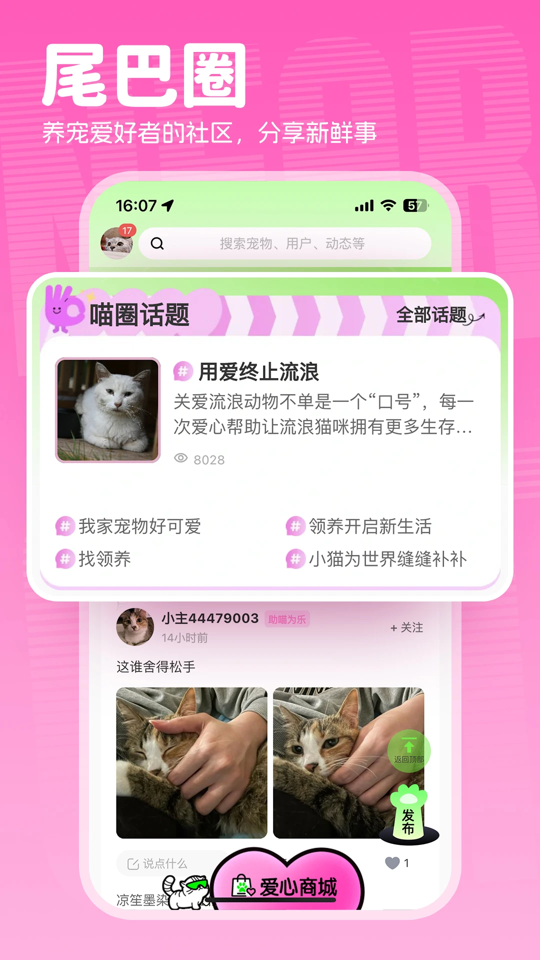 附近有喵截图5