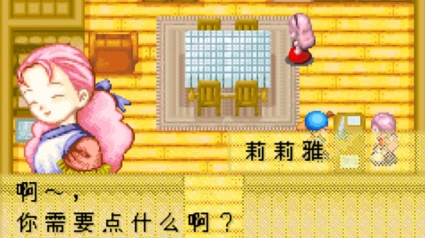 牧场物语矿石镇的伙伴们汉化版截图1